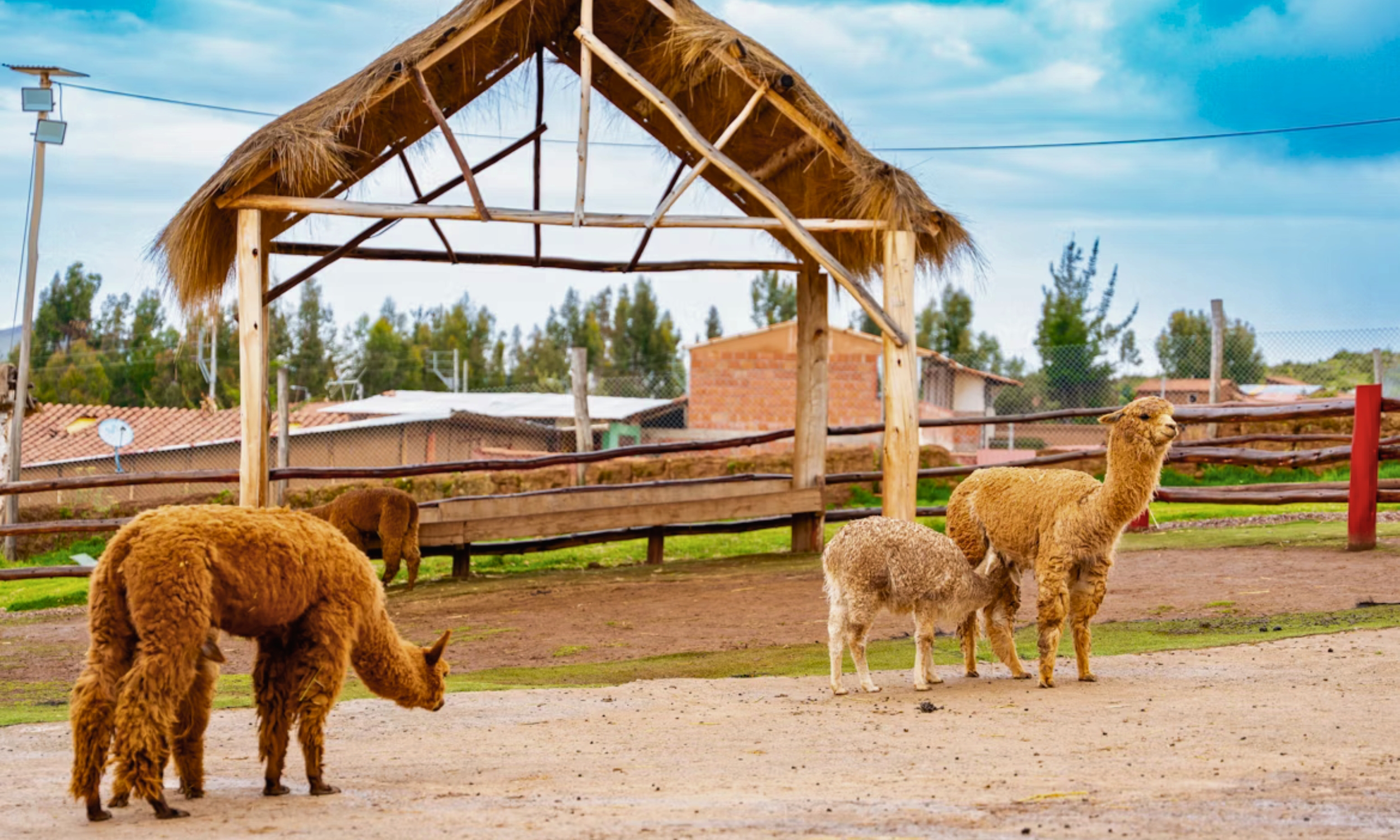 Cusco Family Travel Guide - Slider 10