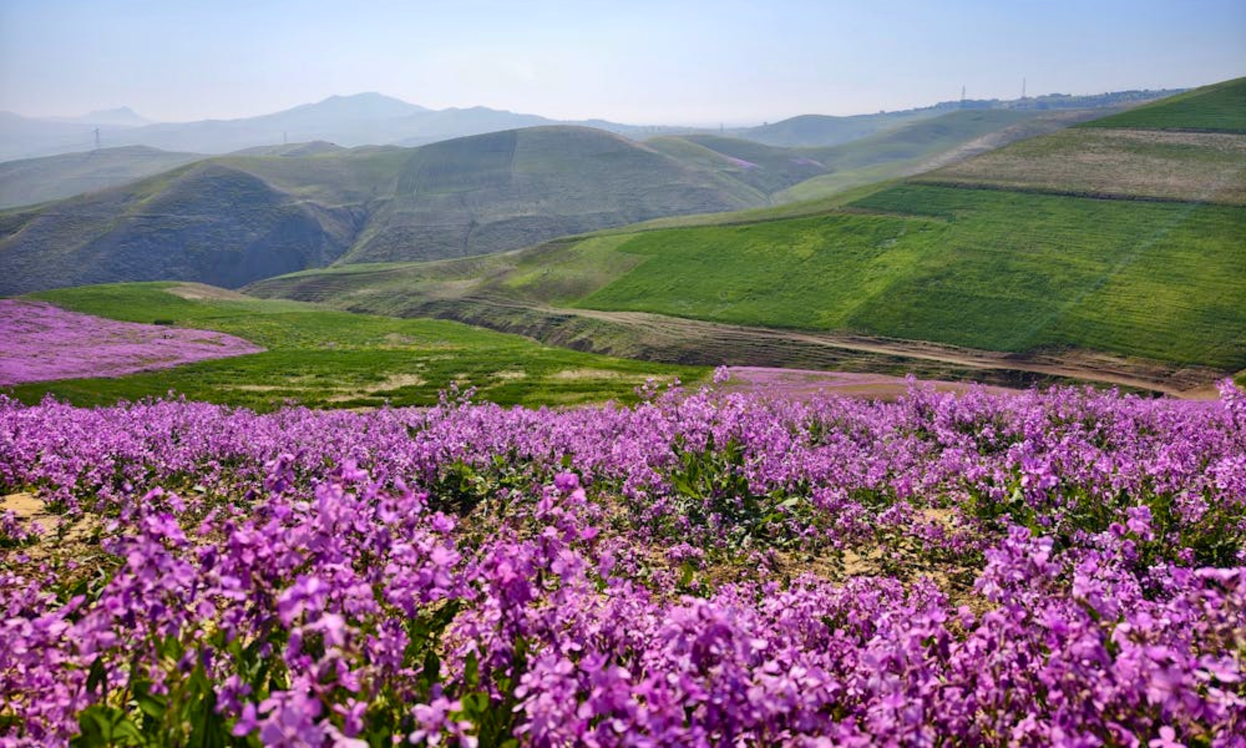 Fes Family Travel Guide - Slider 6