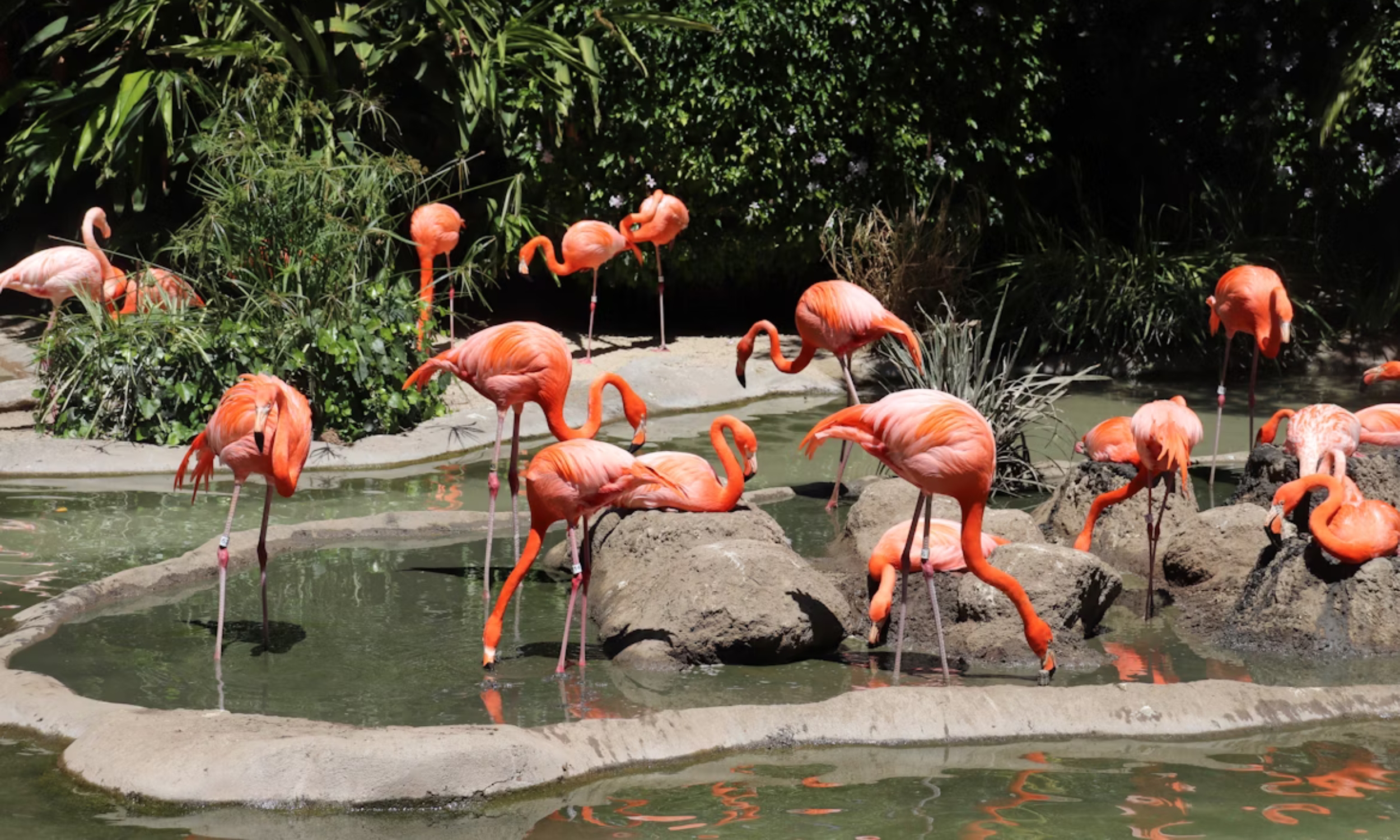 USA Family Travel Guide - Slider 14